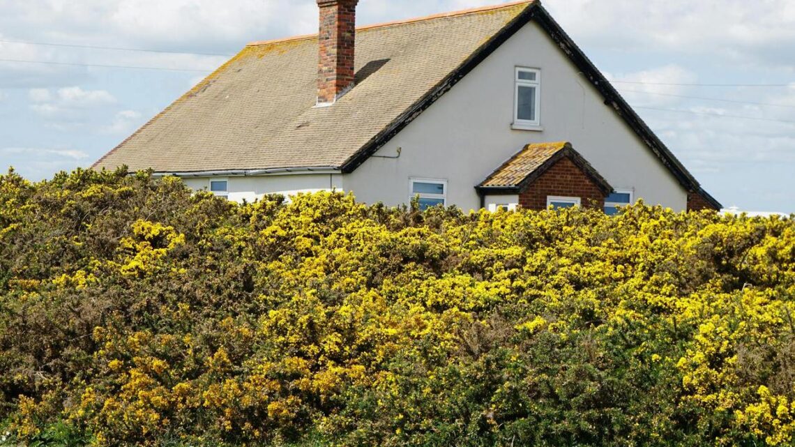 Bezpieczny dom: Kluczowa rola komina w efektywnym ogrzewaniu